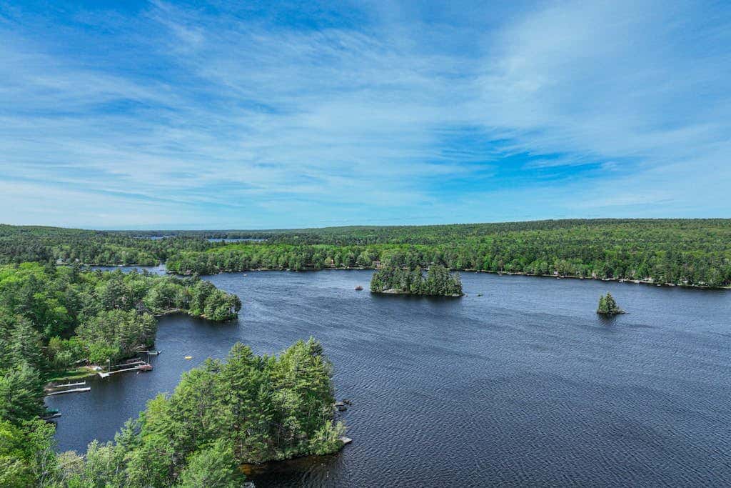 Super Birch on Little Sebago Lake