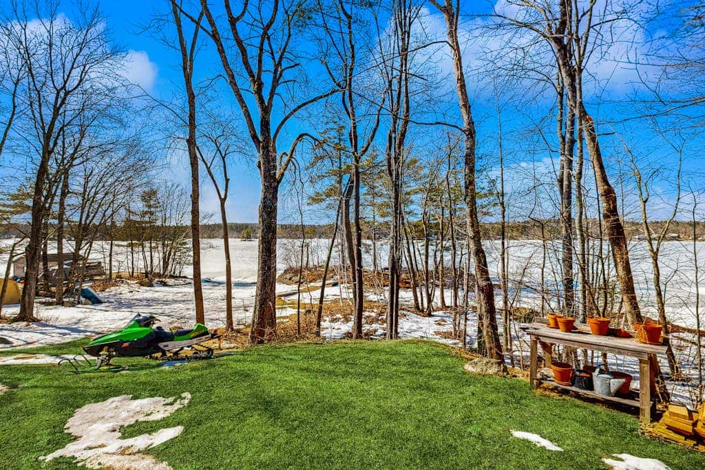 Super Birch on Little Sebago Lake