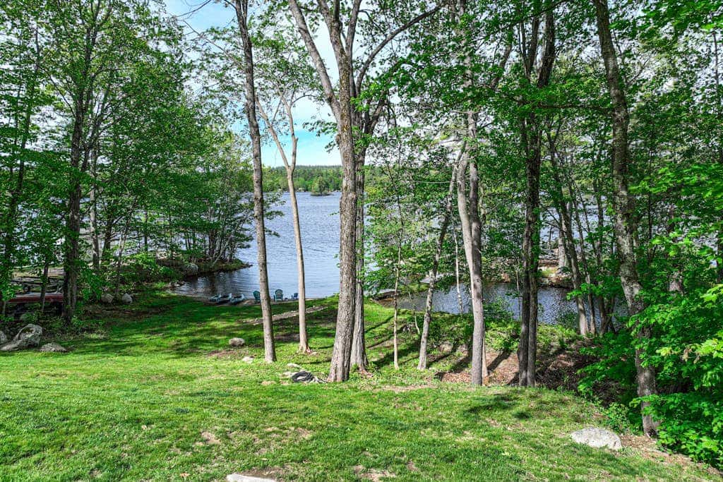 Super Birch on Little Sebago Lake