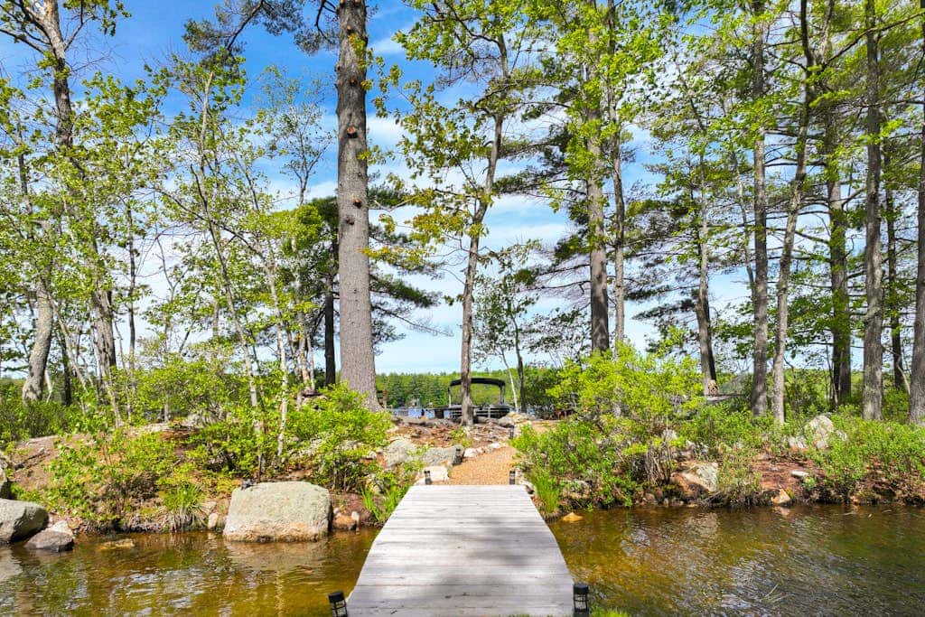 Super Birch on Little Sebago Lake