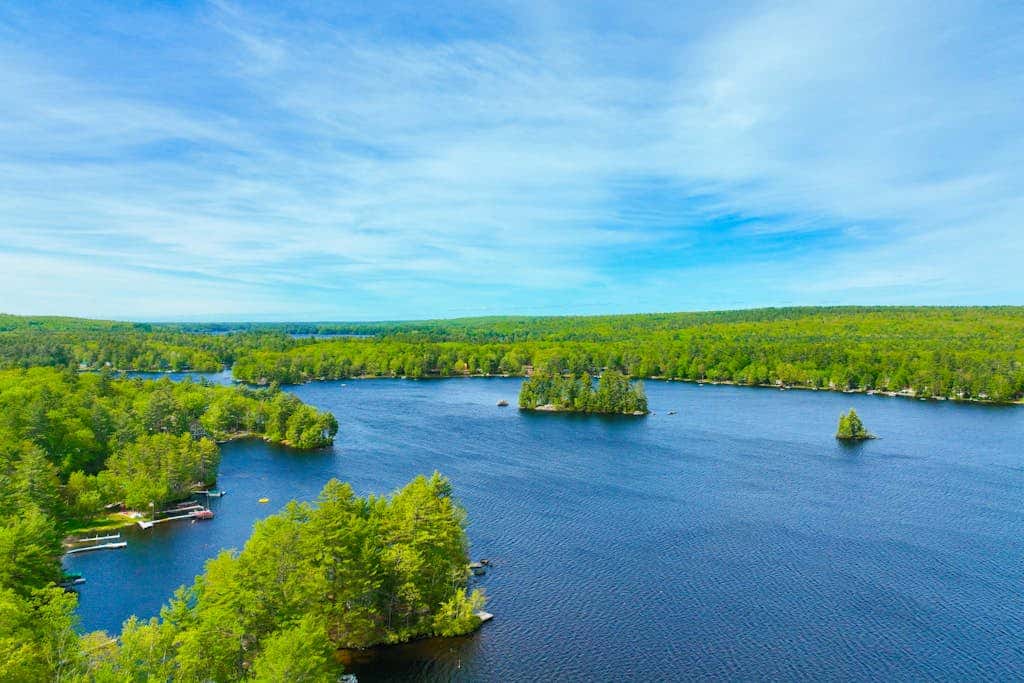 Super Birch on Little Sebago Lake