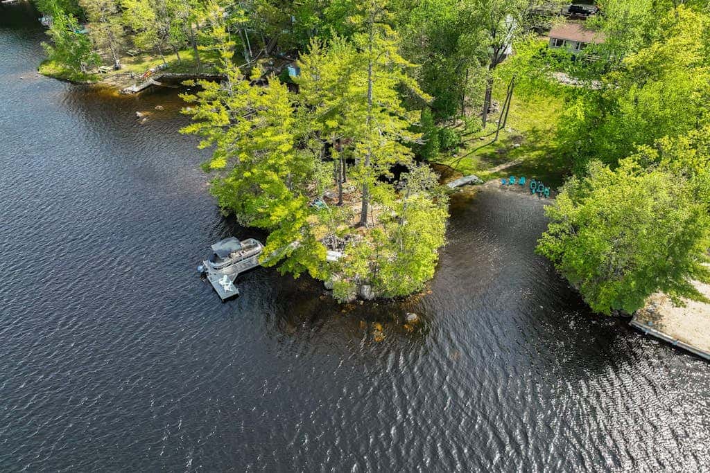 Super Birch on Little Sebago Lake