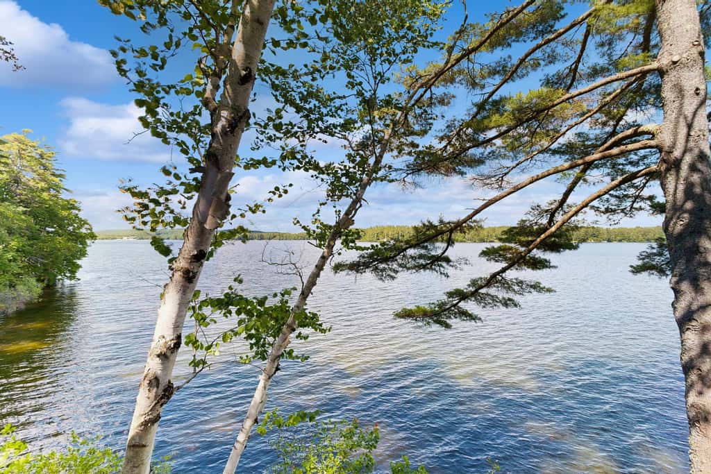 Lakefront Retreat