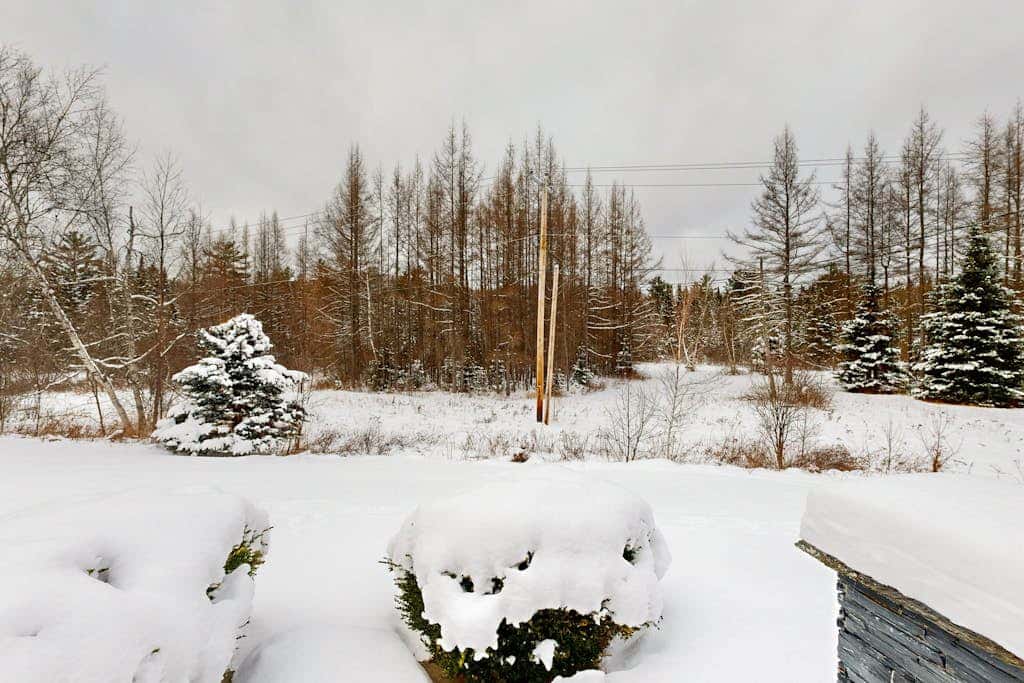 Twin View Log Home