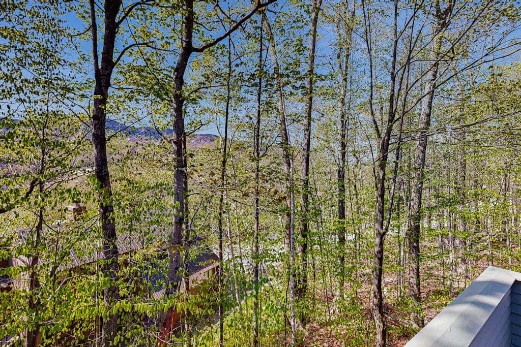 Loon Mountain Nest