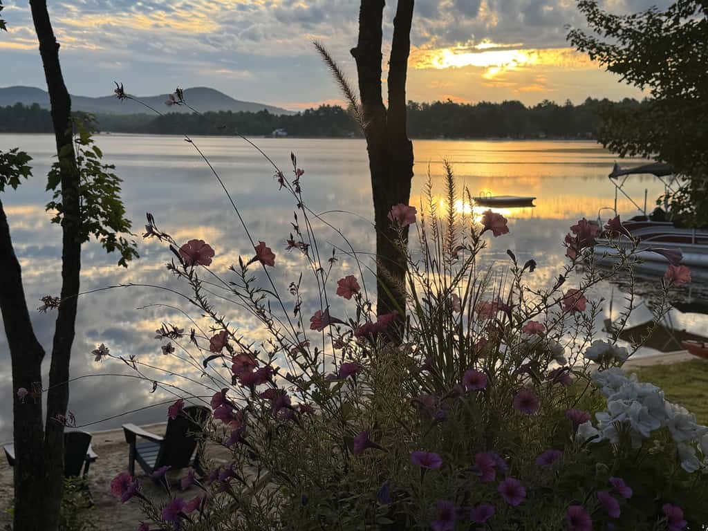 Leavitt Bay Shores