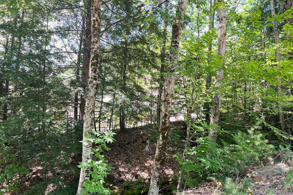 Hillside Hideaway