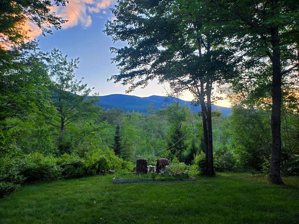 Dog friendly mountain view home in great location w/ large yard