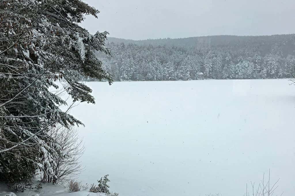 Lakeside Elegance - For a wonderful lakeside fishing getaway