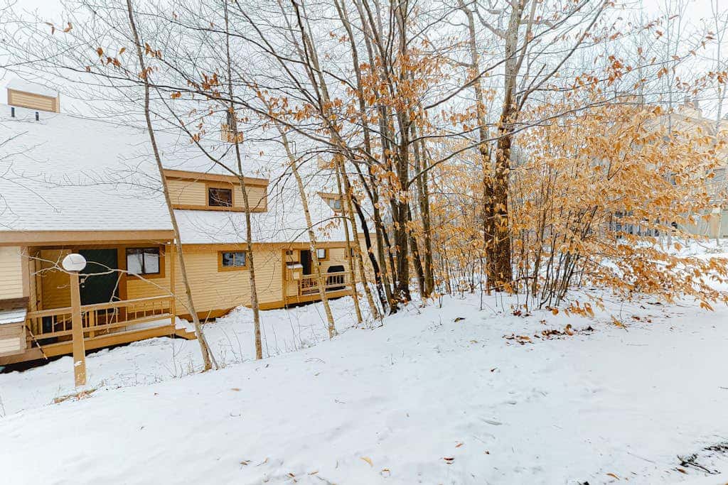 Okemo Trailside 19BL