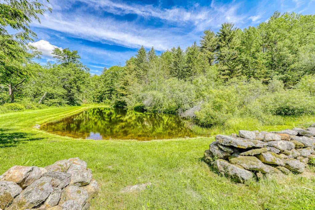 Dog-friendly house with picturesque mountain view & near skiing - close to Okemo