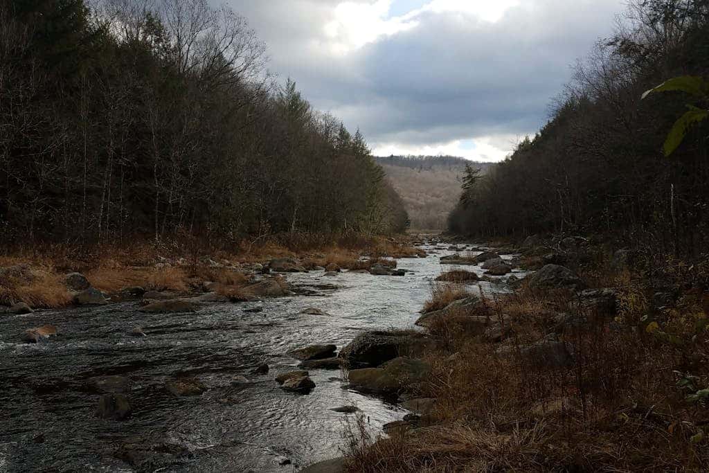 Timber Riverhouse