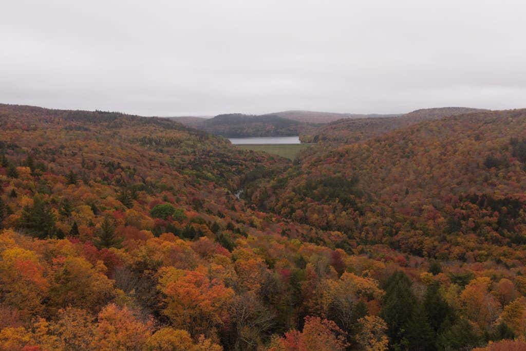 Timber Riverhouse