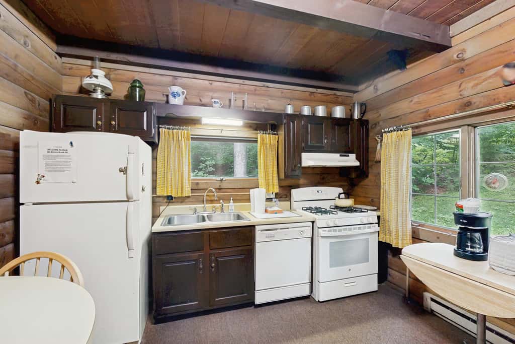 Log Ski Lodge