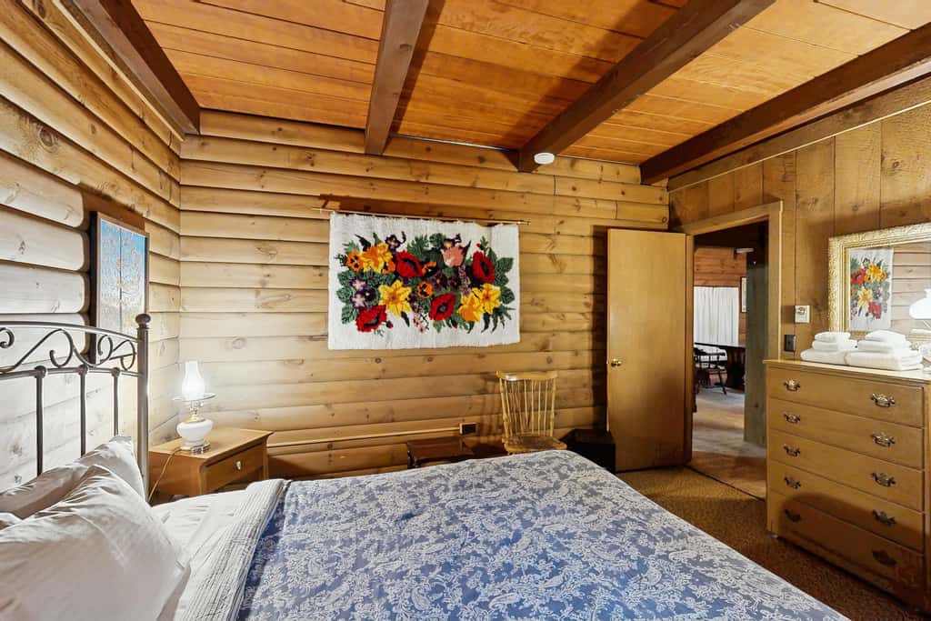Log Ski Lodge