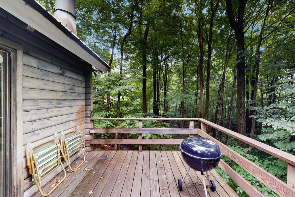 Log Ski Lodge
