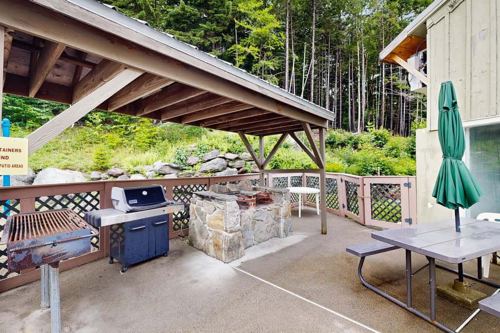 Log Ski Lodge