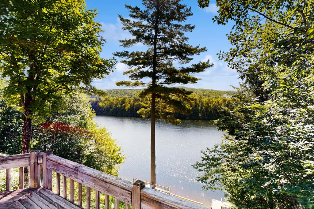Lake Eden Escape