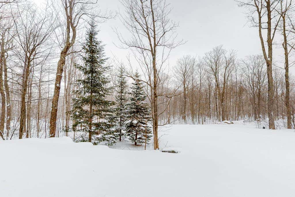 Jay Peak Village Home 367B