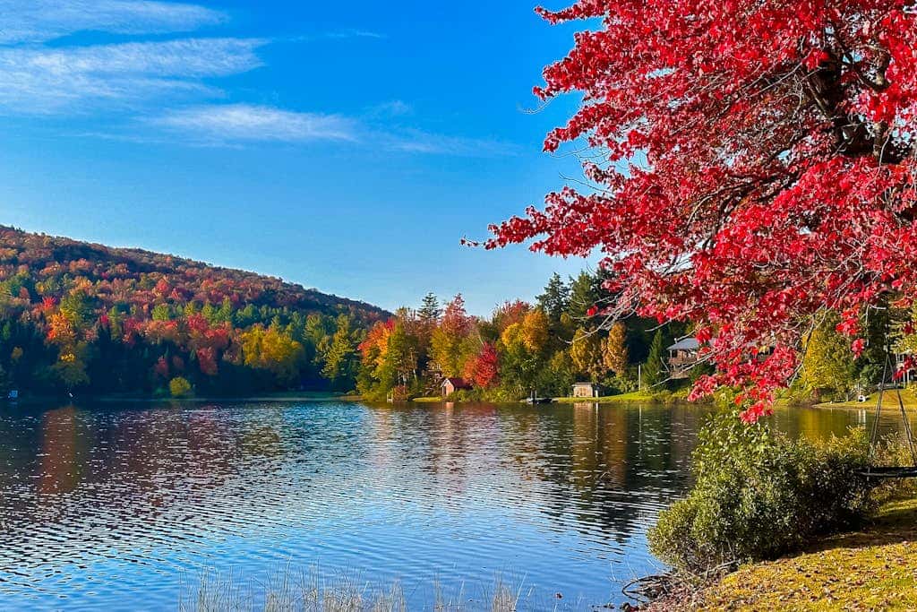 Serenity by the lake