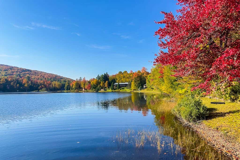 Serenity by the lake