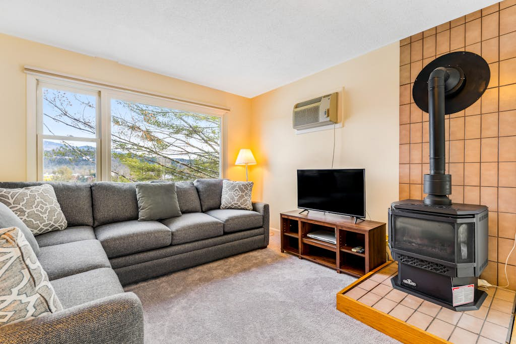 Mountainside Resort F303