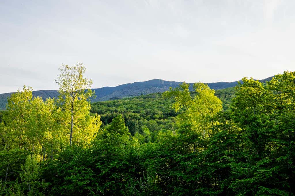 Private Mountain Luxury