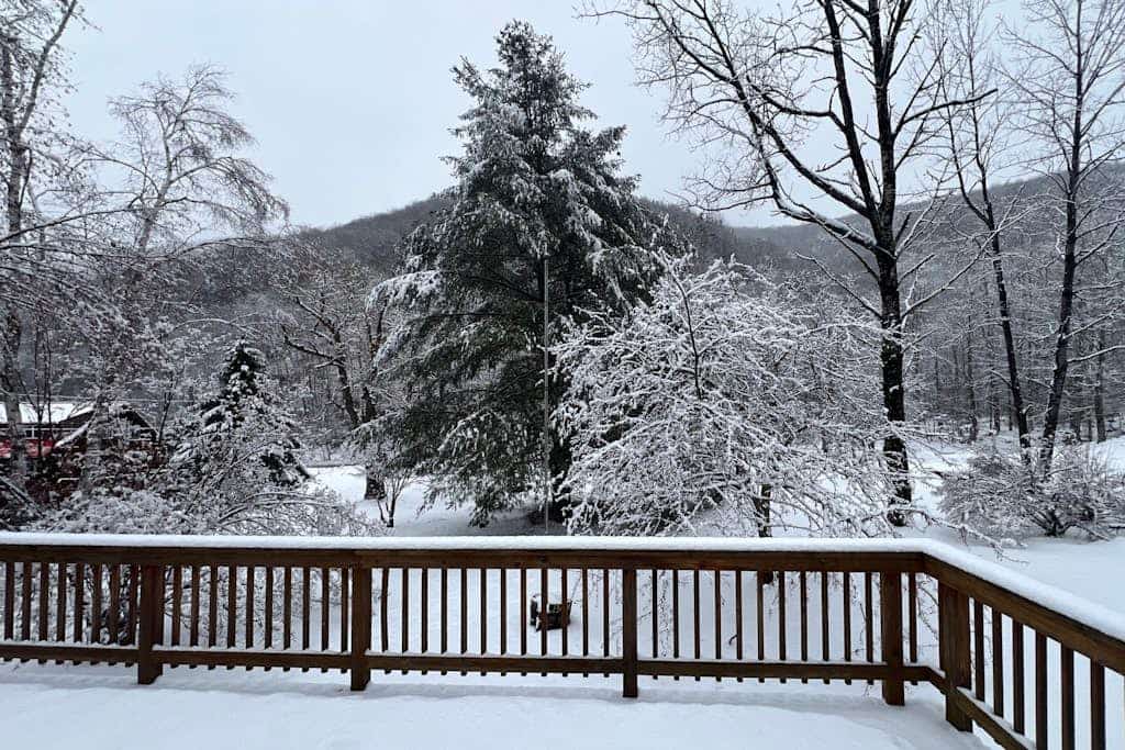 Comfortable dog-friendly home w/ pond view, deck, gas grill, wifi, TVs, kitchen