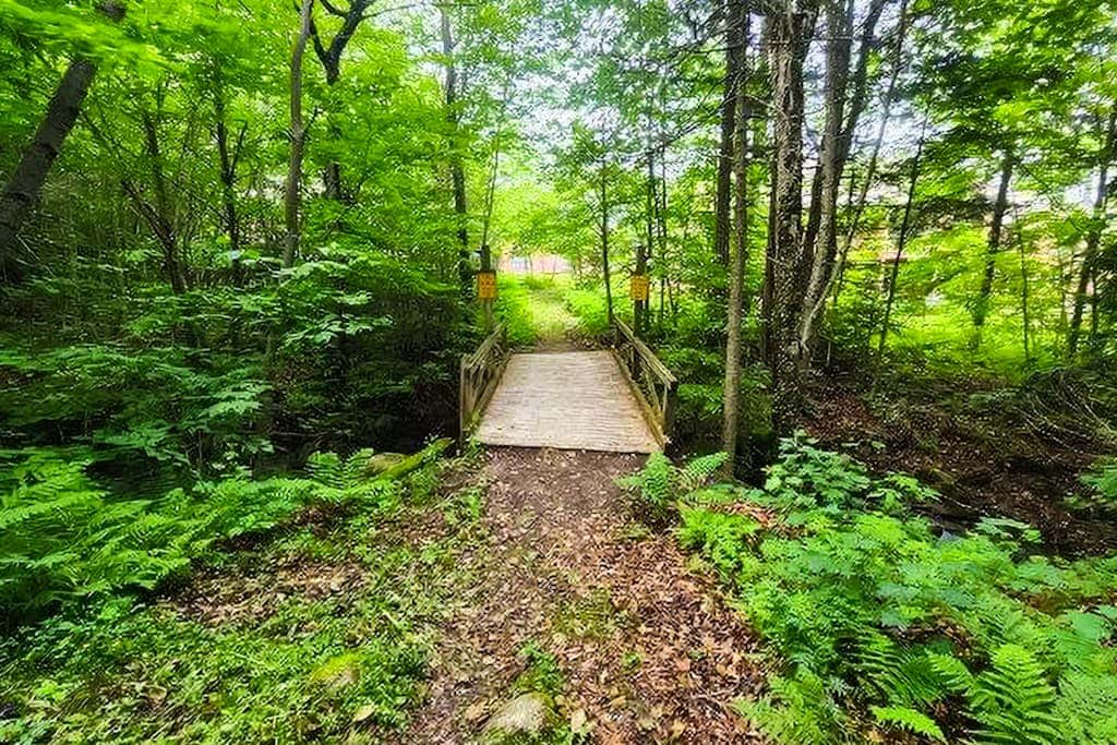 Trail Creek 33