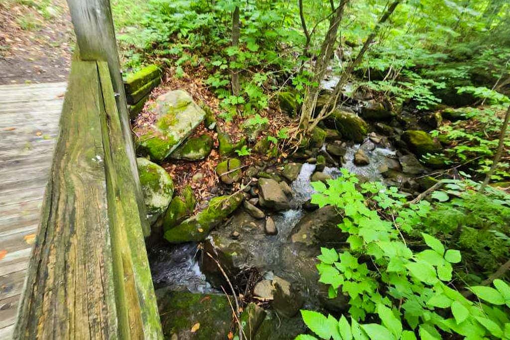 Trail Creek 33
