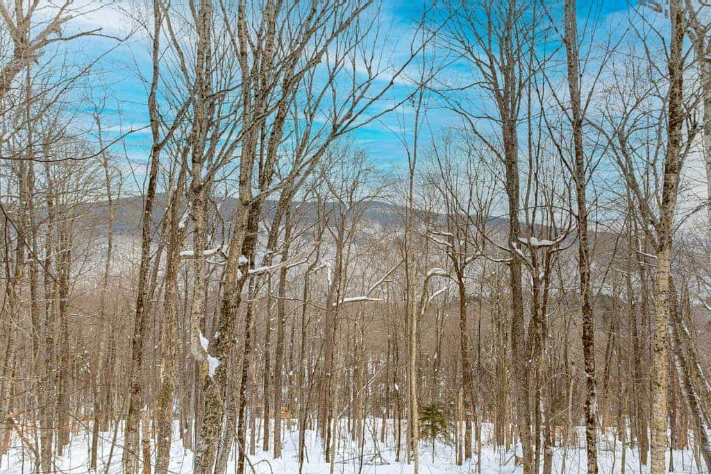 Dog-friendly chalet, mountain views, balcony, gameroom, woodstove, resort nearby