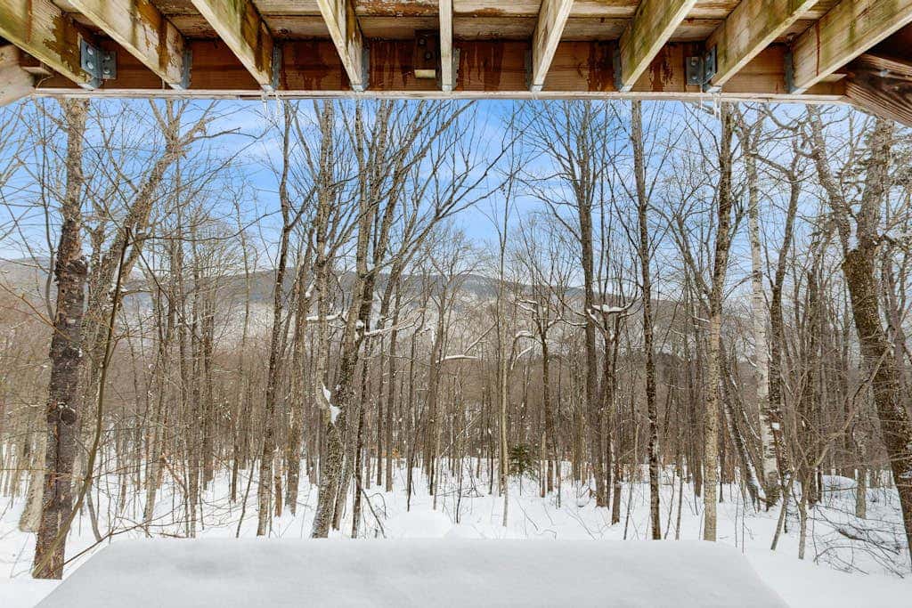 Snowy Day Chalet