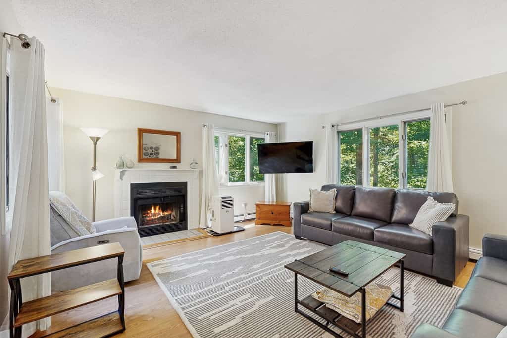 Spacious condo with mountain view, fireplace, a/c, walk to Lake Pinneo