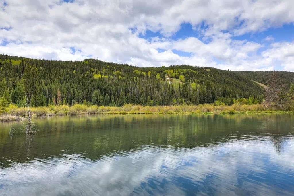 Centrally located condo near skiing with amazing mountain and lake views