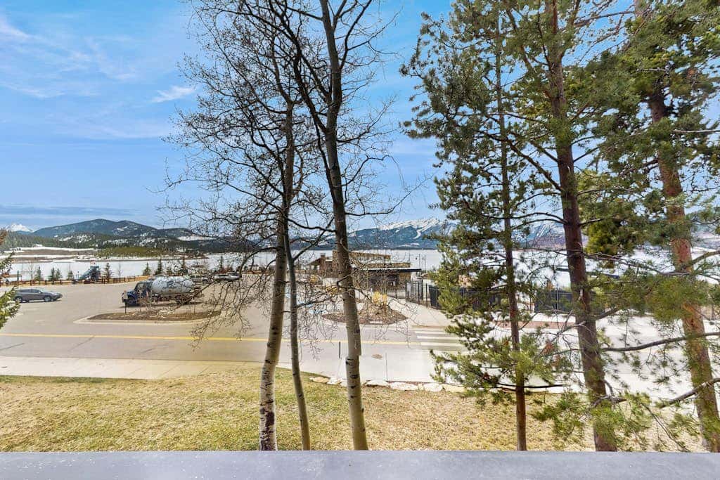 Lake Cliffe 209F