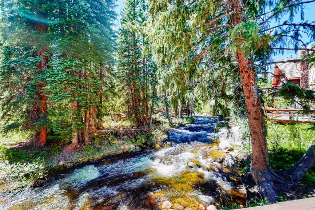 Fantastic mountain condo near the slopes with creek views