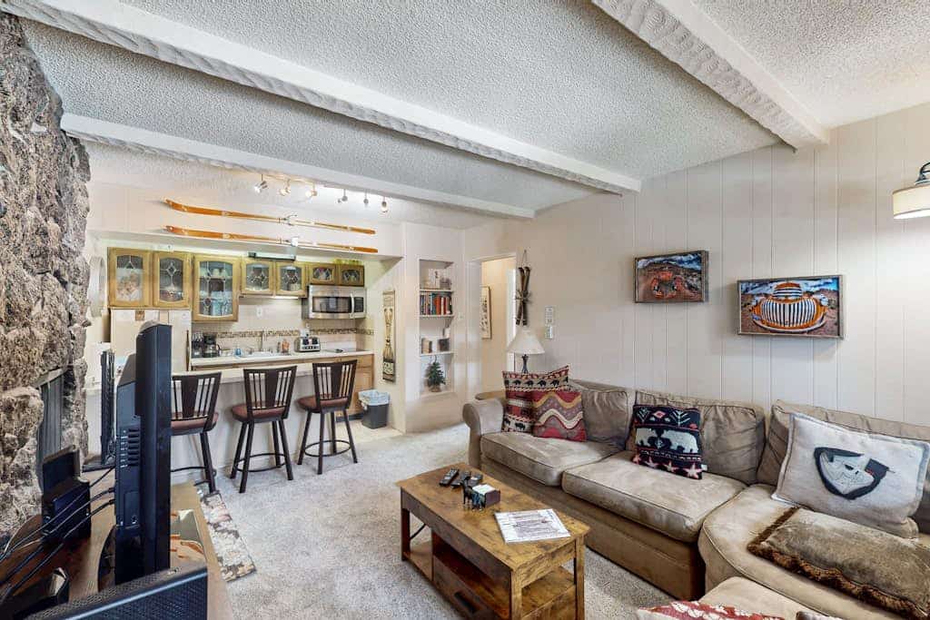 Dog-friendly condo near the slopes with W/D -  pool, hot tub & volleyball
