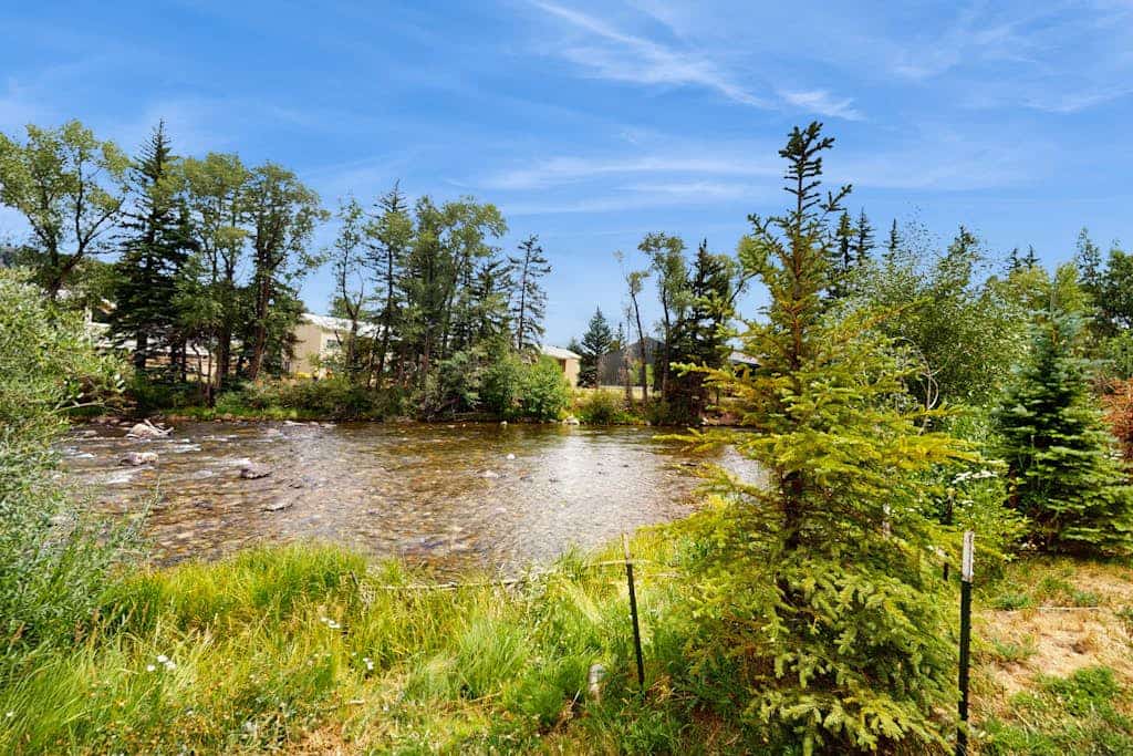 Cozy condo w/ full kitchen, fast wifi, balcony & convenient location