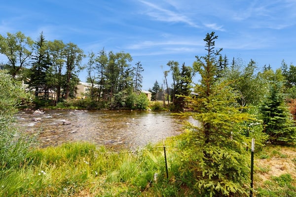 Cozy condo w/ full kitchen, fast wifi, balcony & convenient location