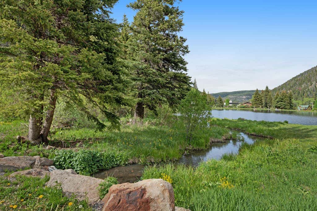 Ponderosa