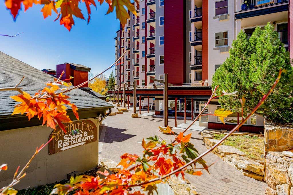 Torian Plum Plaza 207