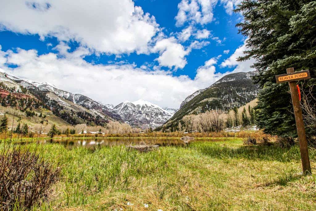 Alpine ski-in/out condo - walk to Mountain Village