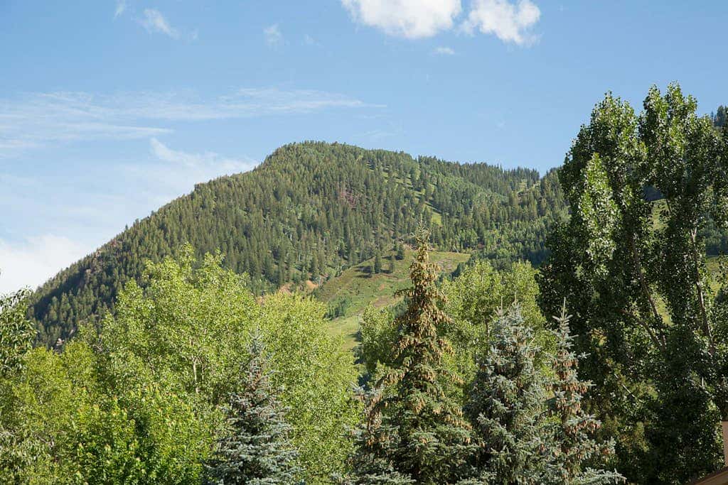 Aspen Mountain Lodge 307