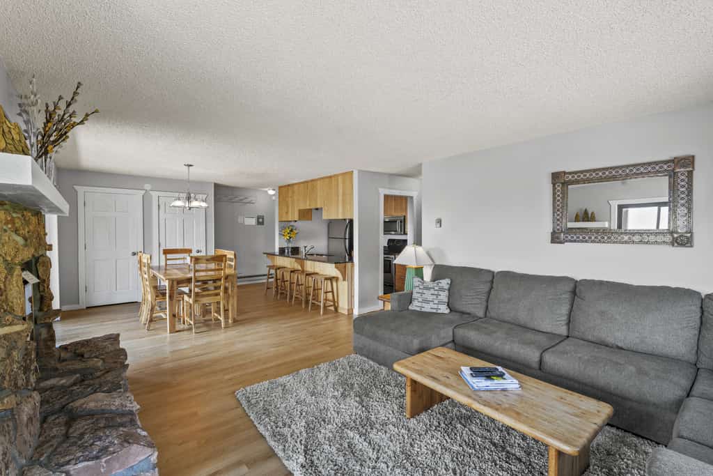 Mountain view condo with WiFi & fireplace, walk to Crested Butte Mountain Resort
