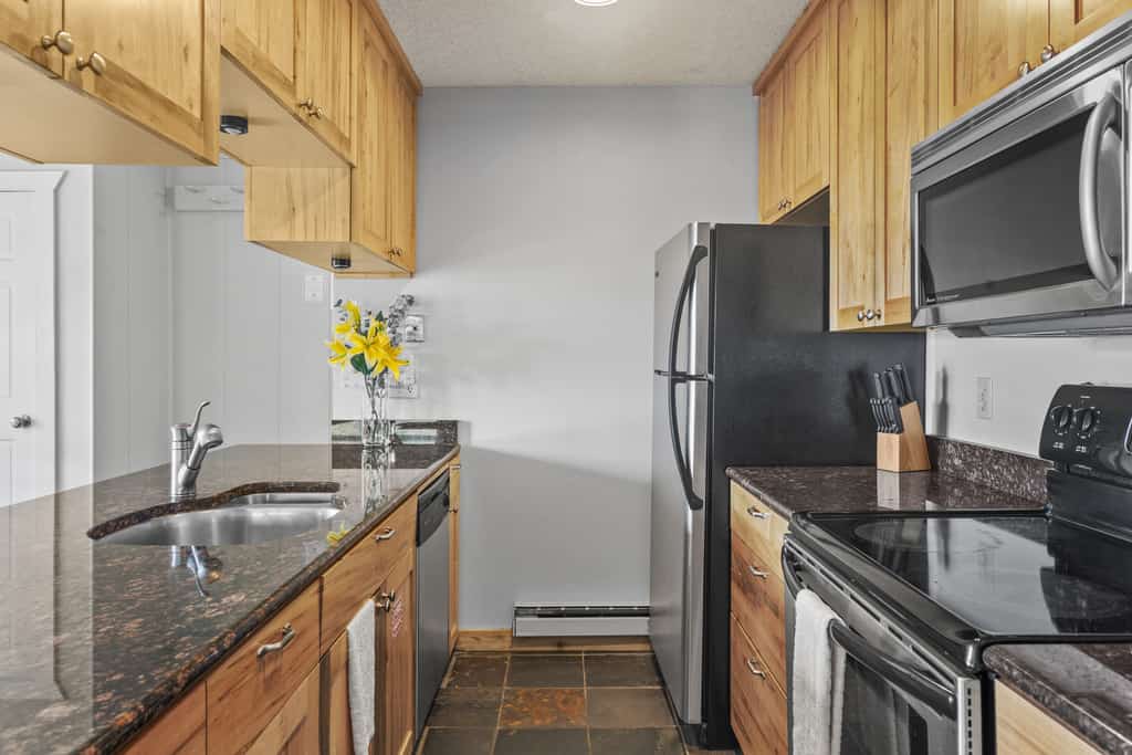 Mountain view condo with WiFi & fireplace, walk to Crested Butte Mountain Resort