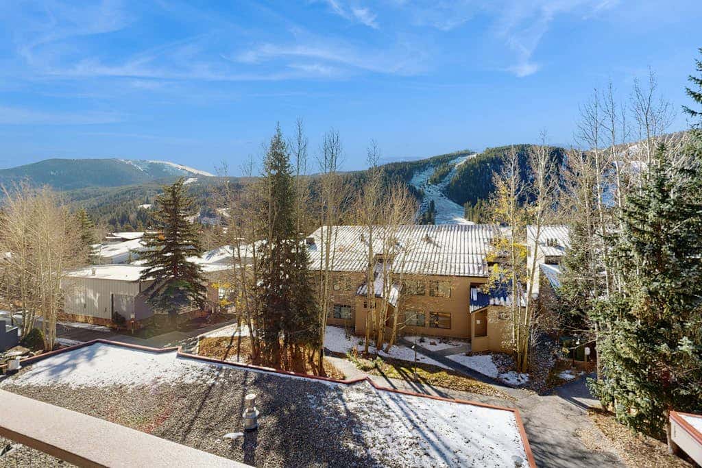Ski Run Condominiums 203