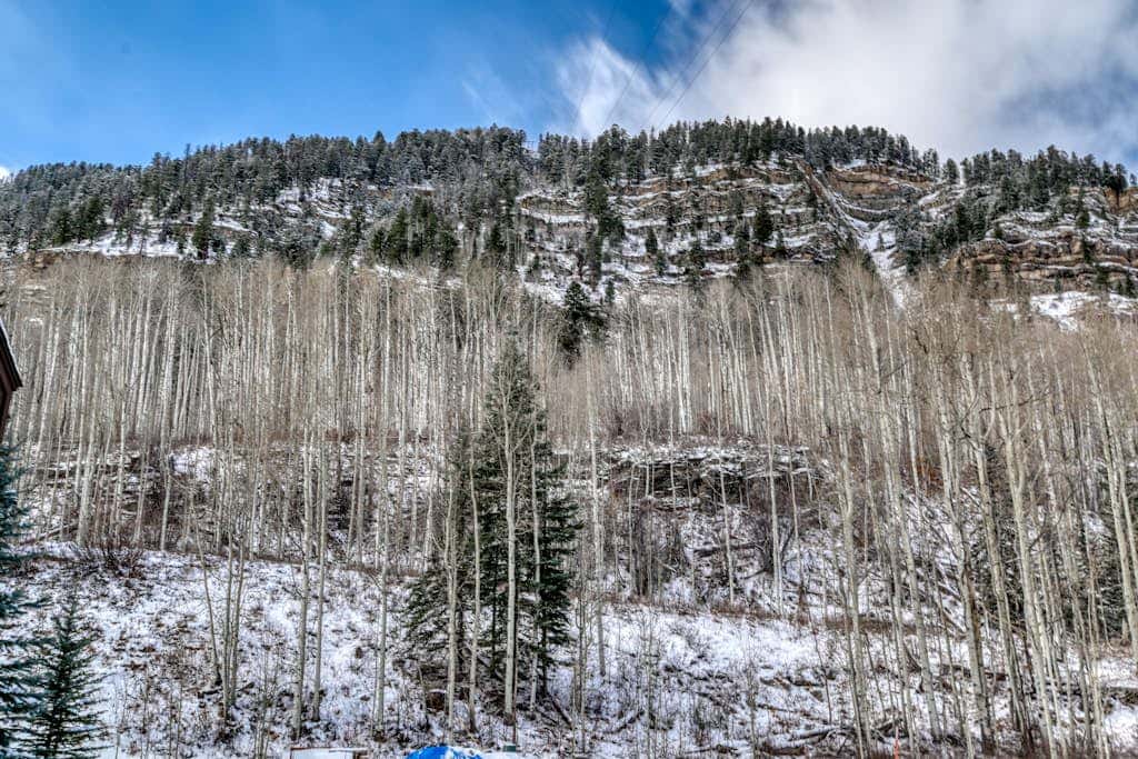 The Mountain Bliss