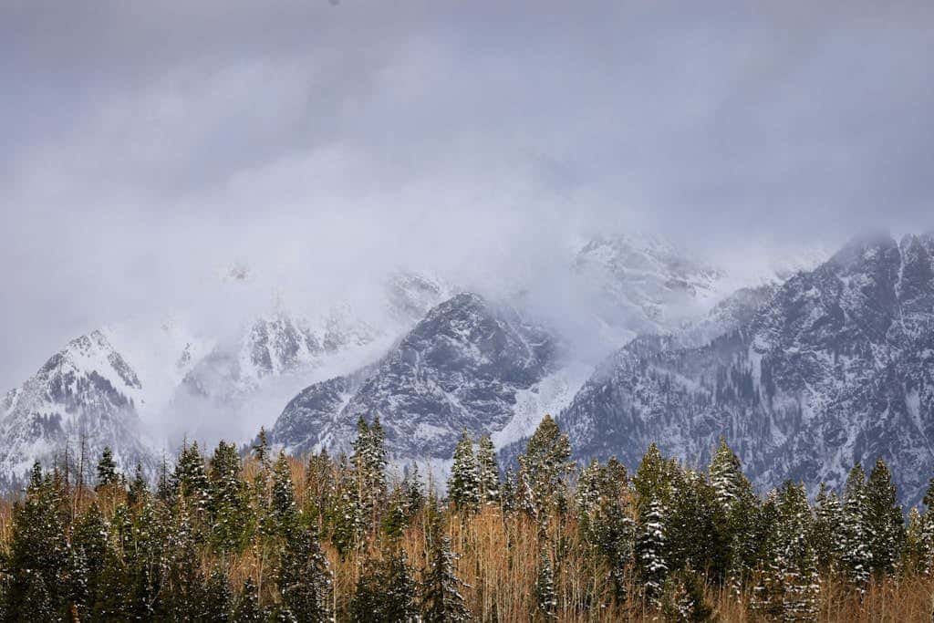 The Mountain Bliss