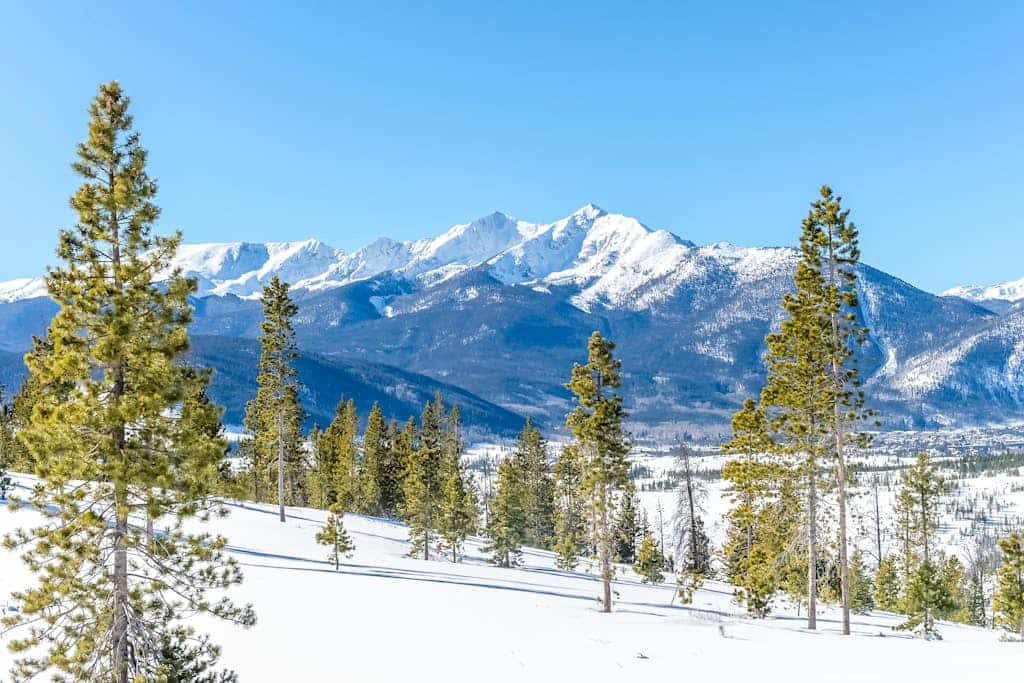 Cozy resort studio - Walk to lifts, shops, restaurants & entertainment