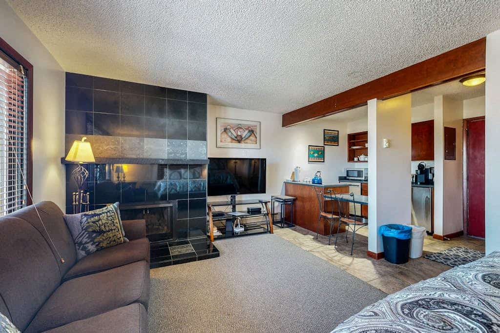 Riverfront studio with mtn view, balcony, & fireplace